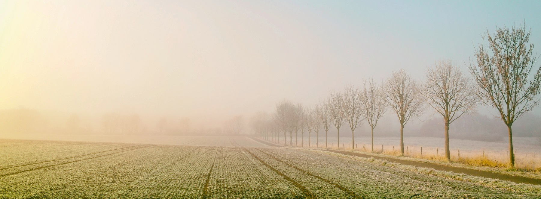 start-header-mobilität-verkehr-road-herbst