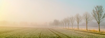 start-header-mobilität-verkehr-road-herbst